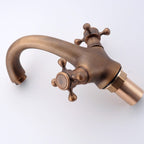 Mélangeur de salle de bain en bronze brossé