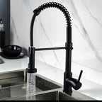 Mitigeur de cuisine avec douchette extractible noir mat
