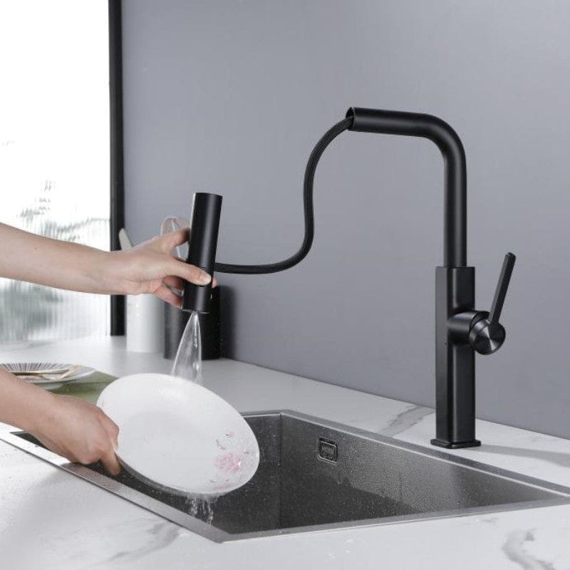 Mitigeur de cuisine avec douchette noir
