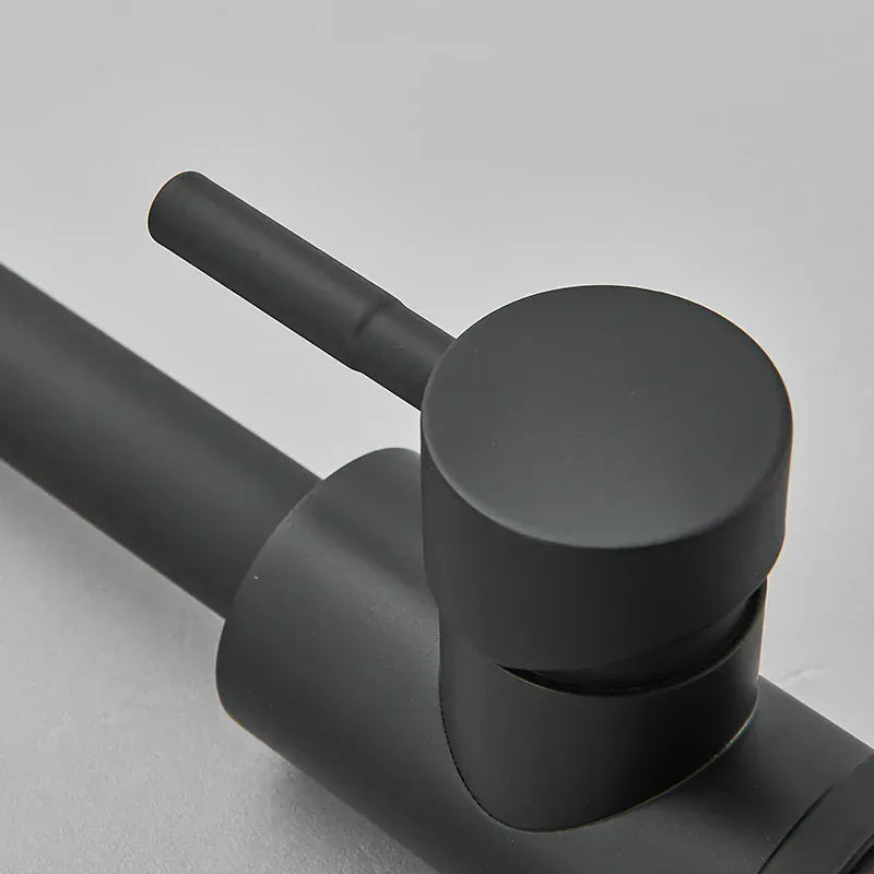 Mitigeur de cuisine moderne noir mat