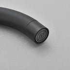 Mitigeur de cuisine moderne noir mat