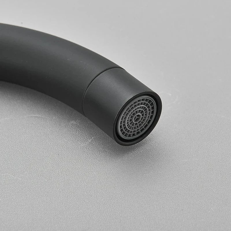 Mitigeur de cuisine moderne noir mat