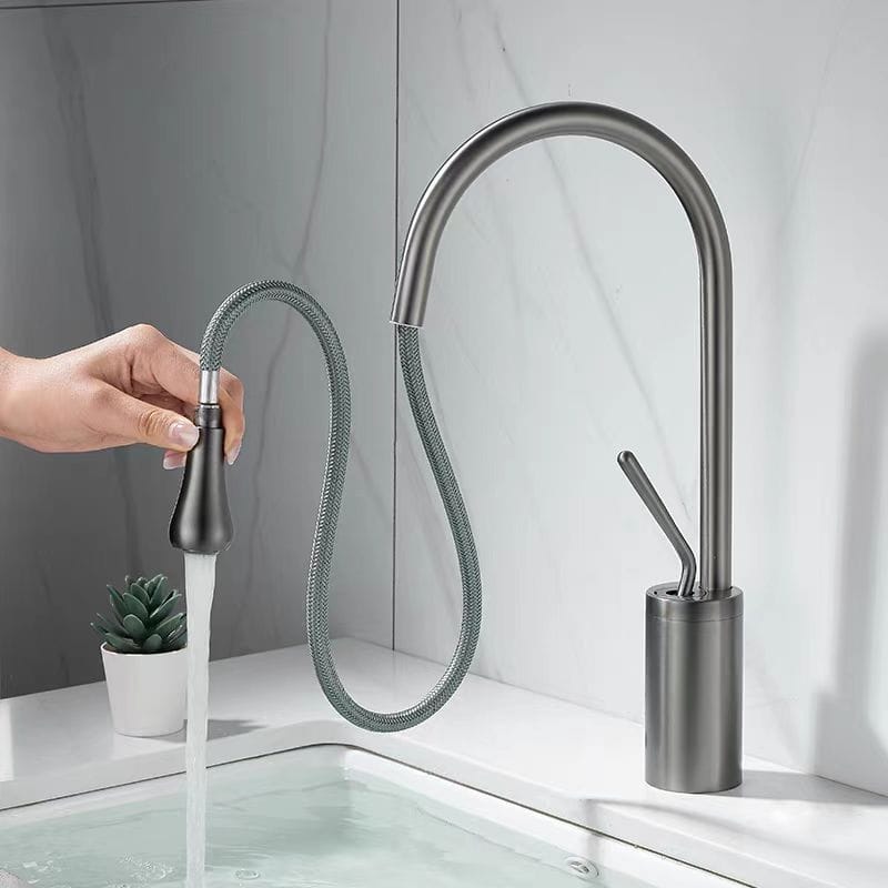 Mitigeur de lavabo avec douchette extractible gris brossé