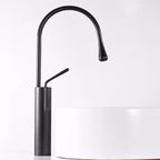Mitigeur de lavabo avec douchette extractible noir mat