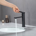 Mitigeur de lavabo de salle de bain noir mat