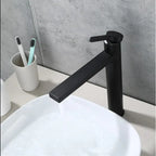 Mitigeur de lavabo de salle de bain noir mat