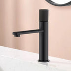 Mitigeur de lavabo en inox brossé noir mat