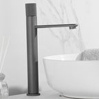 Mitigeur de lavabo en inox gris brossé