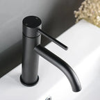 Mitigeur de salle de bain en inox noir mat
