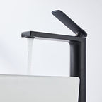 Mitigeur en laiton noir mat