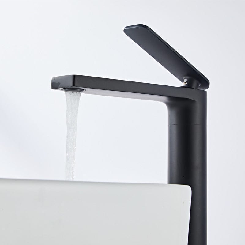 Mitigeur en laiton noir mat