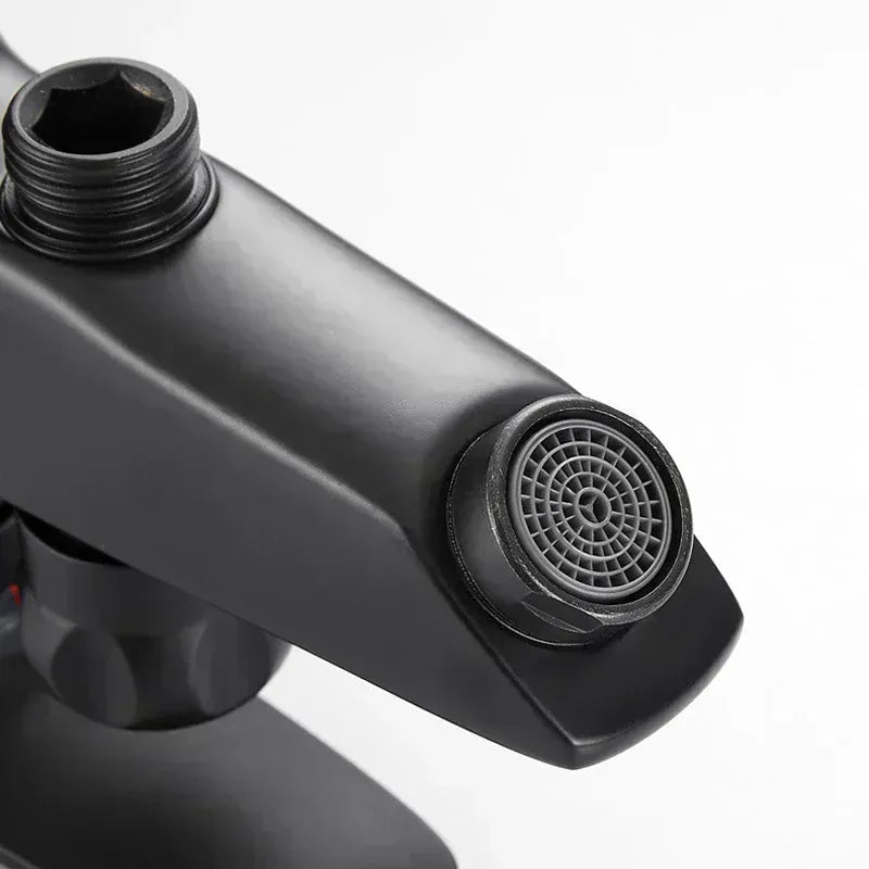 Mitigeur et pommeau de douche noir