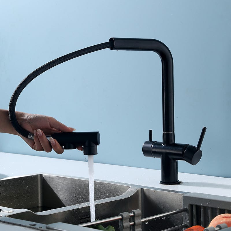 Robinet de cuisine avec douchette extractible noir mat