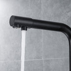 Robinet de cuisine avec douchette extractible noir mat