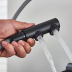Robinet de cuisine avec douchette extractible noir mat