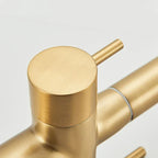 Robinet de cuisine avec douchette extractible or brossé