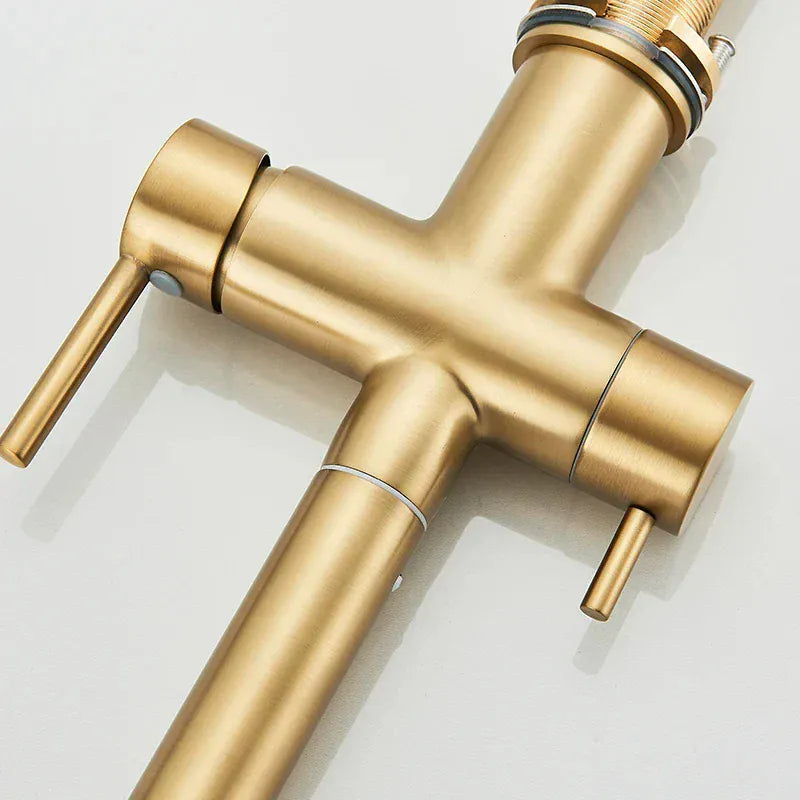 Robinet de cuisine avec douchette extractible or brossé