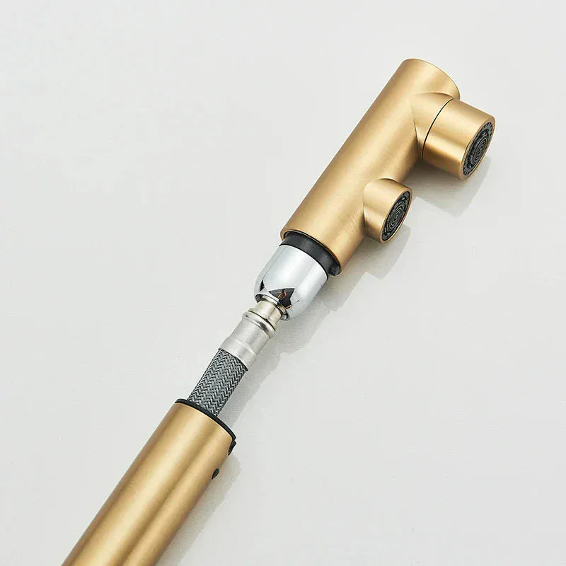 Robinet de cuisine avec douchette extractible or brossé