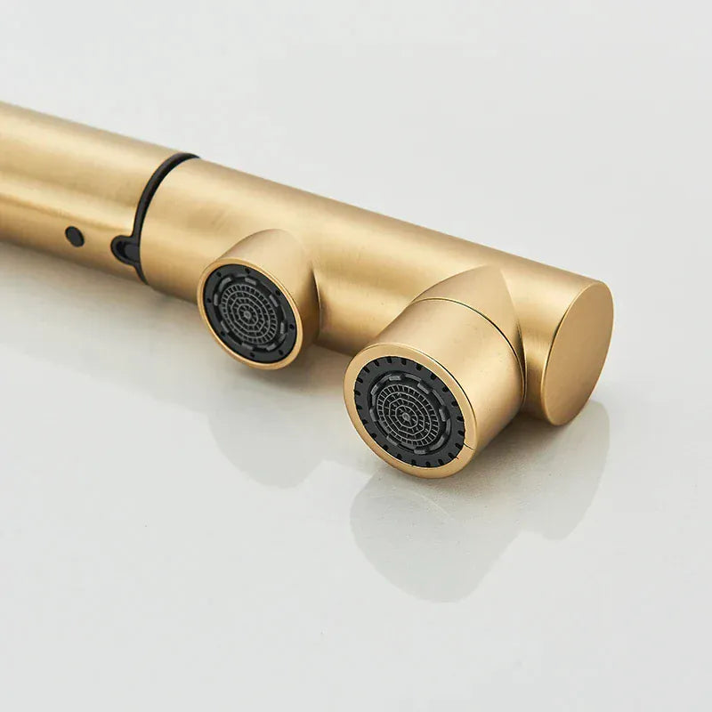 Robinet de cuisine avec douchette extractible or brossé