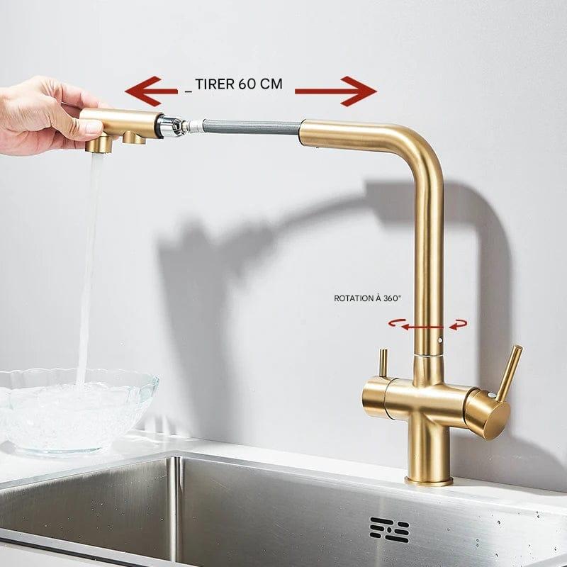 Robinet de cuisine avec douchette extractible or brossé